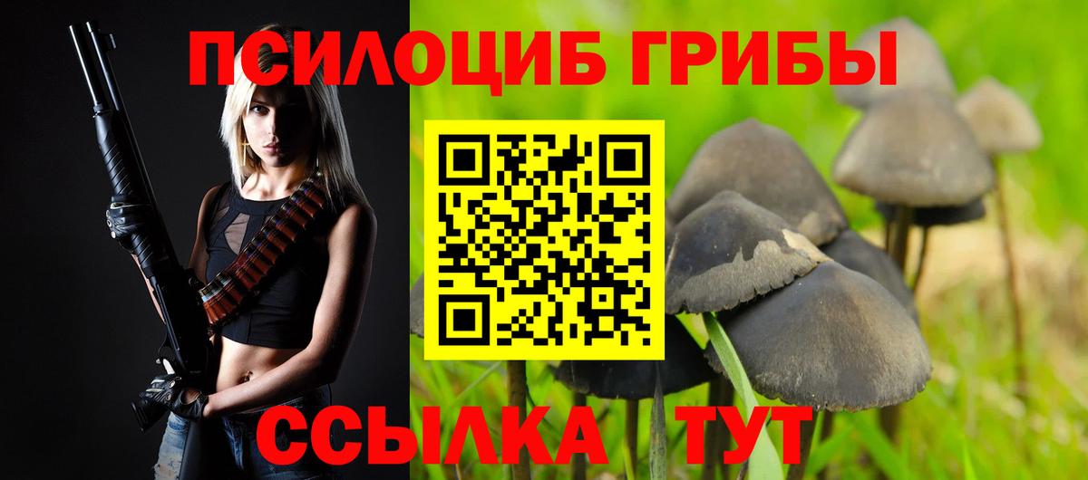 Псилоцибиновые грибы GOLDEN TEACHER  Вход с VPN  закладки  Галлюциногенные грибы ЛСД  Урус-Мартан 